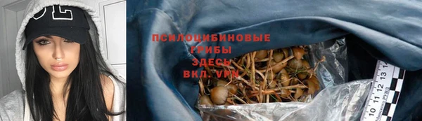 хмурый Алексеевка