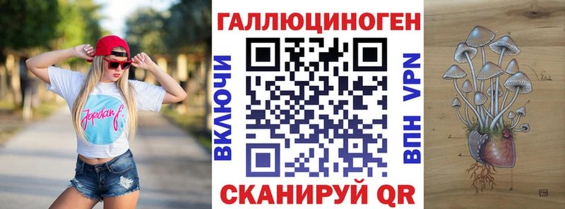 Галлюциногенные грибы MAGIC MUSHROOMS  мега ТОР  Цивильск  наркотики 